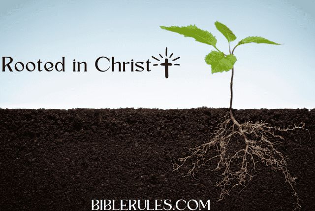 Rooted in Christ