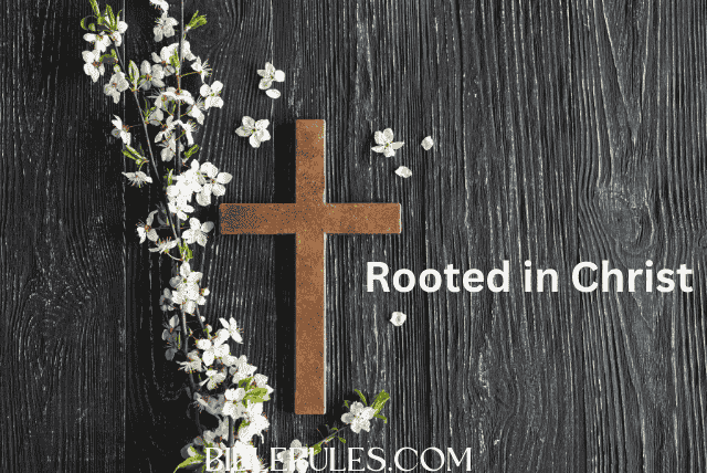 Rooted in Christ