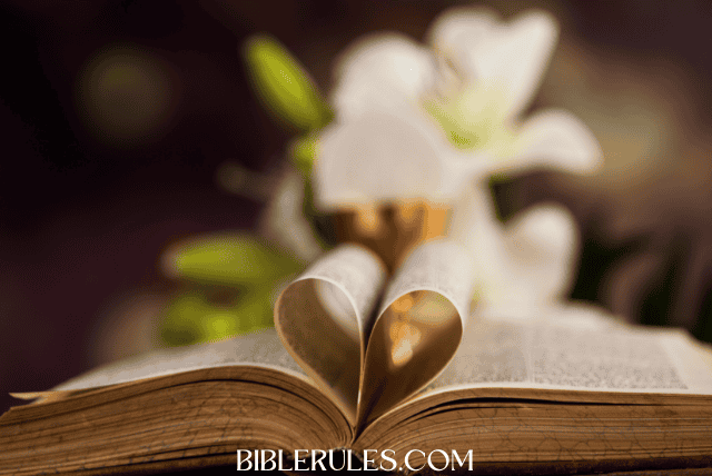 bible-verses-about-fighting-for-love/