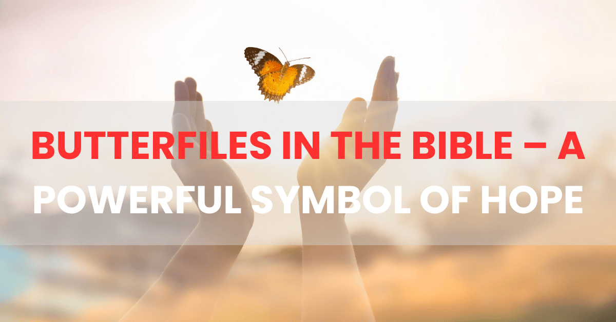 butterflies-in-the-bible