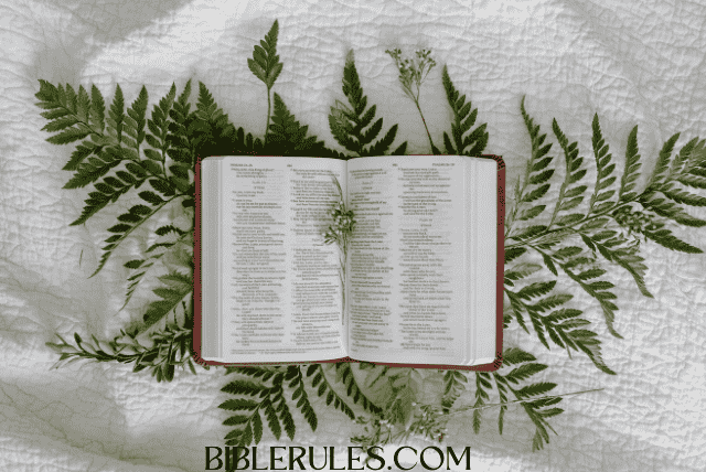 butterflies-in-the-bible