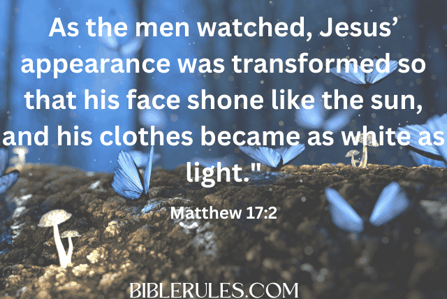 butterflies-in-the-bible
